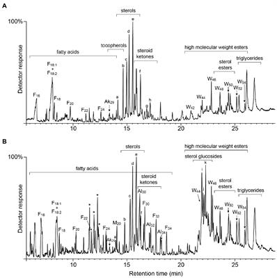 Chemical Composition of Lipophilic Compounds From Rice (Oryza sativa) Straw: An Attractive Feedstock for Obtaining Valuable Phytochemicals